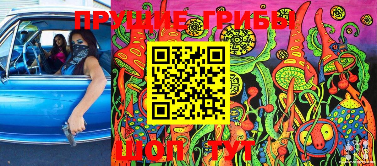 Галлюциногенные грибы ЛСД  Псилоцибиновые грибы MAGIC MUSHROOMS  Вход с VPN  Новочеркасск 
