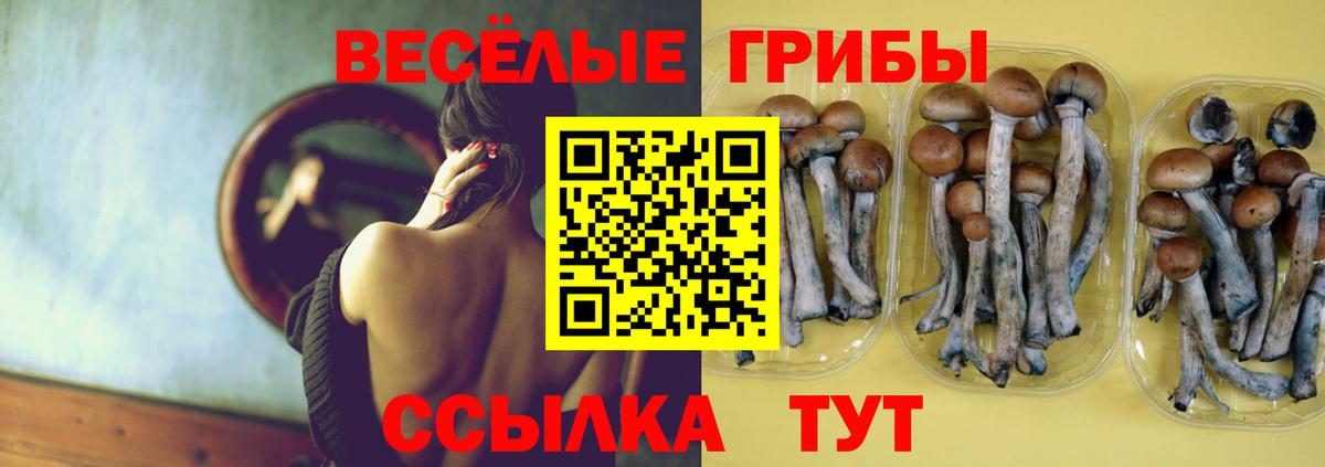 Псилоцибиновые грибы Psilocybine cubensis Новочеркасск